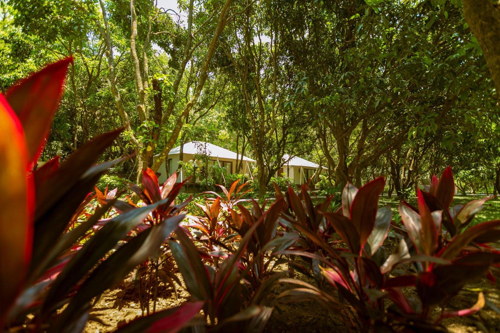 Anand Kashi By The Ganges Rishikesh - Ihcl Seleqtions Hotel Sirasu Exterior photo