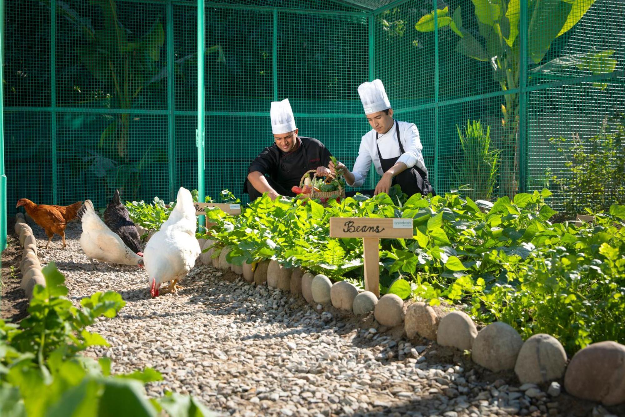 Anand Kashi By The Ganges Rishikesh - Ihcl Seleqtions Hotel Sirasu Exterior photo